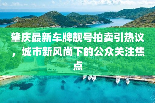 肇慶最新車牌靚號拍賣引熱議，城市新風(fēng)尚下的公眾關(guān)注焦點