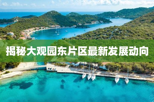 揭秘大觀園東片區(qū)最新發(fā)展動(dòng)向
