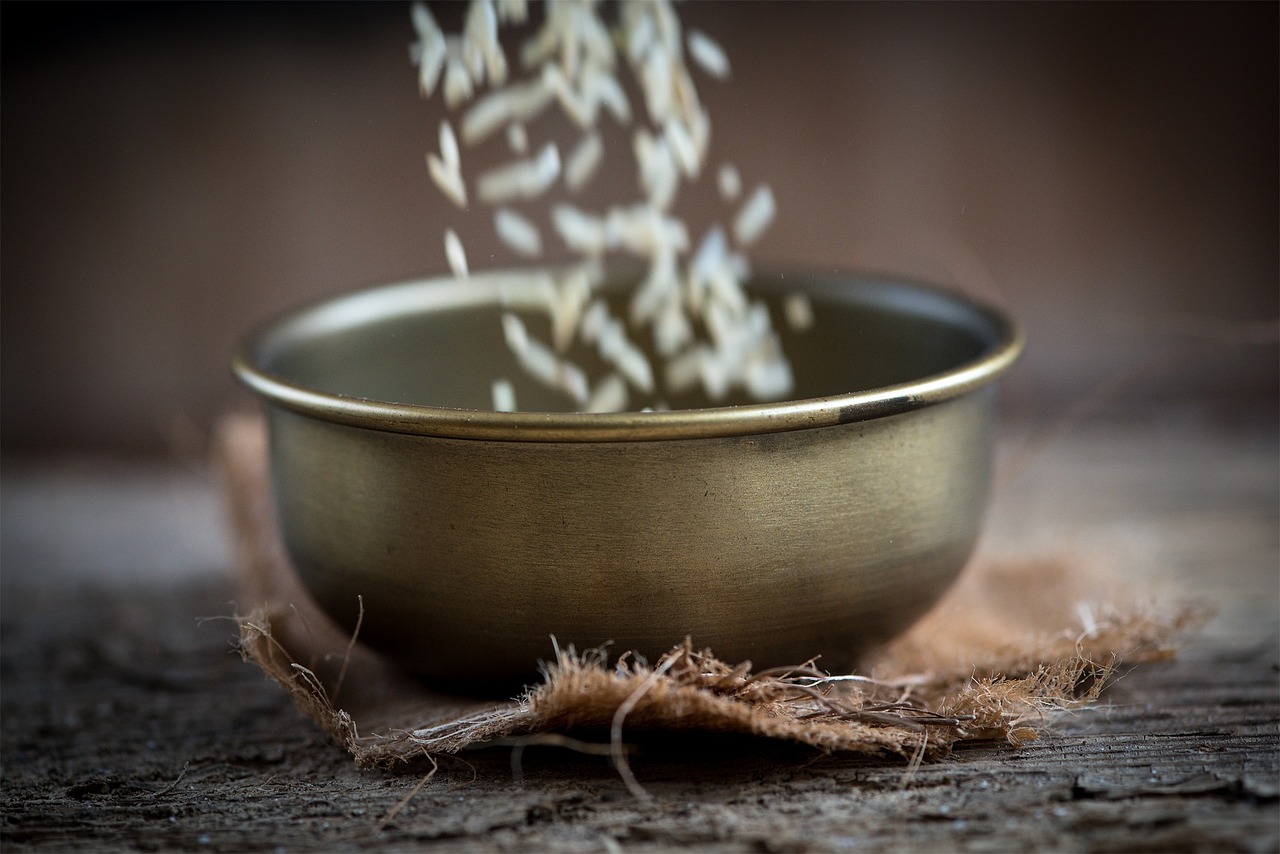 日照未來(lái)城最新動(dòng)態(tài)，城市發(fā)展的輝煌新篇章