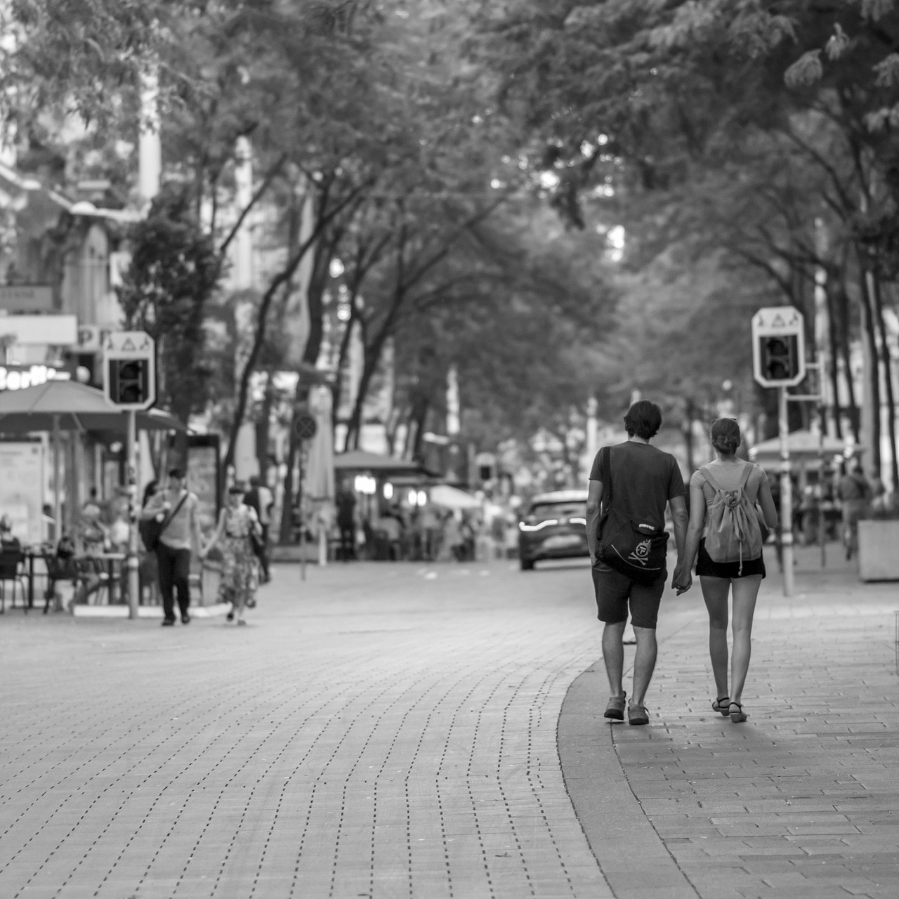 蘄春縣人事任免動態(tài)更新，最新人事任免消息