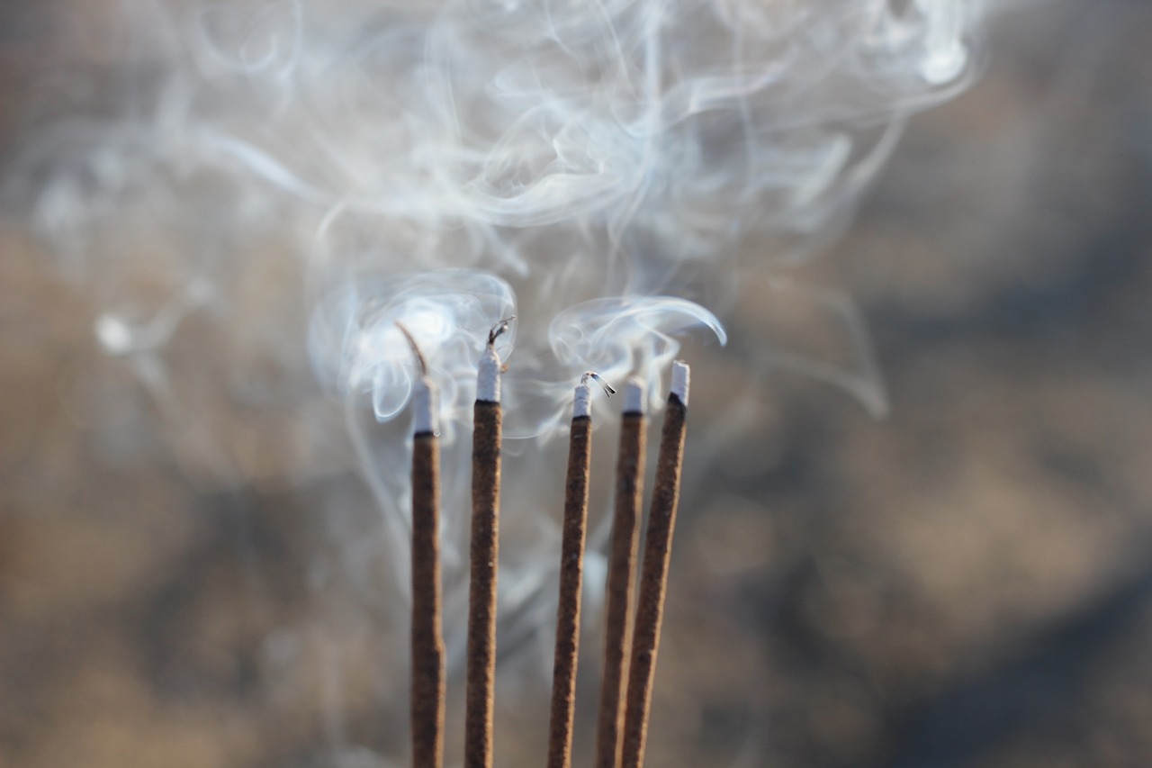 昆山溪香米蘭最新動態(tài)揭秘，最新消息一覽無余