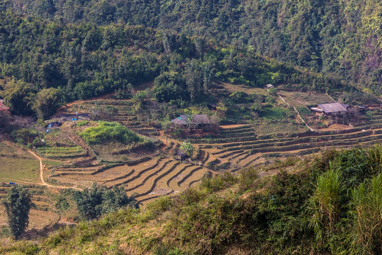 符離鎮(zhèn)最新規(guī)劃圖揭曉，展望繁榮未來(lái)，符離鎮(zhèn)2016規(guī)劃展望