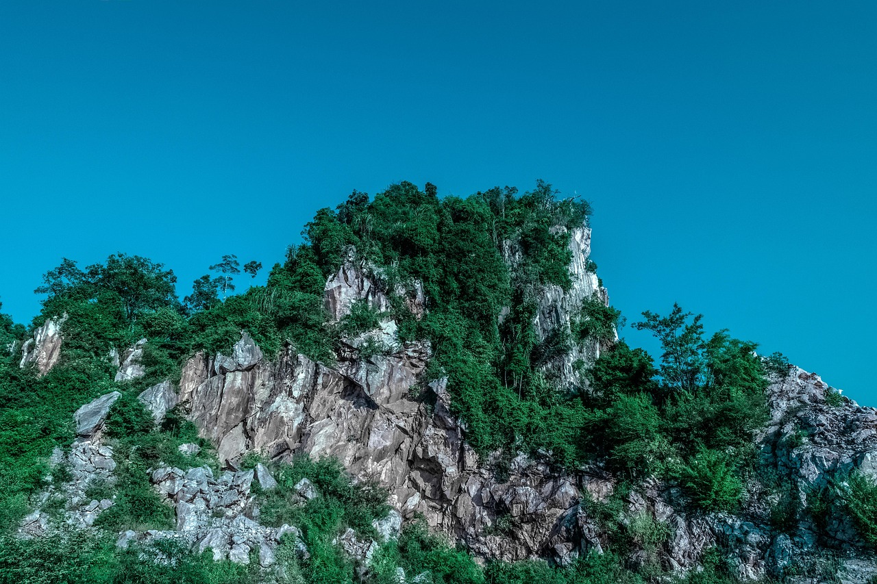 傳藝科技股票最新消息綜述，掌握最新動態(tài)，洞悉股市走向