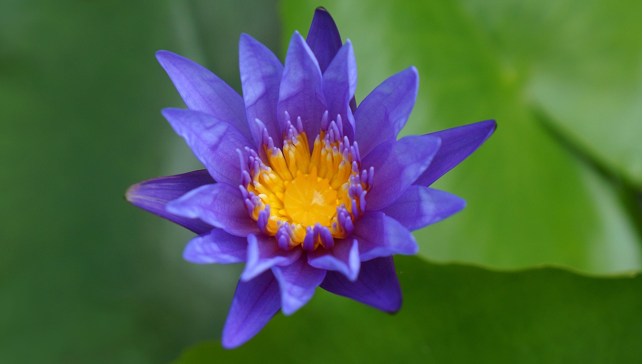 雙陽區(qū)火車站邁向現(xiàn)代化，提升服務(wù)質(zhì)量，最新動(dòng)態(tài)報(bào)告