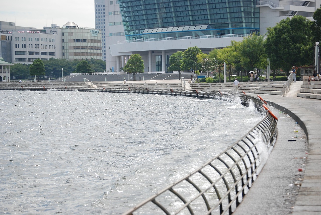 鄭州海昌海洋公園最新動態(tài)揭秘，揭開神秘面紗，展現(xiàn)海洋魅力奇觀
